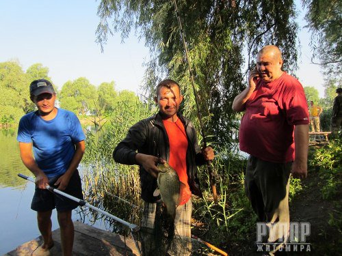 � ��������������� ������ �������� ����� �� ������ ���� ����� 13 ���� �� ������� �������