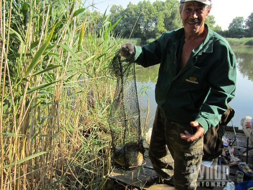 � ��������������� ������ �������� ����� �� ������ ���� ����� 13 ���� �� ������� �������