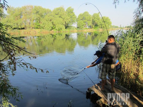 � ��������������� ������ �������� ����� �� ������ ���� ����� 13 ���� �� ������� �������