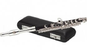 Почему флейты так популярны среди учеников музыкальных школ Почему флейты так популярны среди учеников музыкальных школ