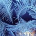 Житомирян та киян попереджають про сильні заморозки