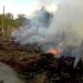В Житомирській області на торфовищі виникла пожежа