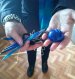 Житомирщина: виборець повідомляє, що на дільниці в кабінці для голосування були ручки з нібито зникаючими чорнилами