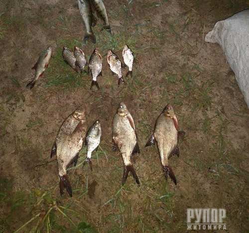 На Житомирщині затримали рибалок браконьєрів. ФОТО
