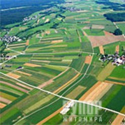На Житомирщині під час аукціону вартість орендної плати за земельну ділянку зросла до 460% від нормативної грошової оцінки