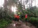 В Житомирській області через негоду відключено 251 трансформаторну підстанцію та повалено десятки дерев