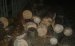 На Житомирщині затримали трьох нелегальних лісорубів