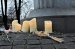 У Житомирі біля пам’ятного знака «Сумуючий Янгол» вшанували пам’ять жертв голодоморів