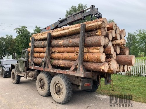 В прикордонні на Житомирщині затримано вантажівку з краденим лісом 
