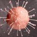 На Житомирщині за добу - 30 нових випадків коронавірусу
