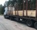 На Житомирщині екологи затримали автомобіль завантажений пиломатеріалами без документів