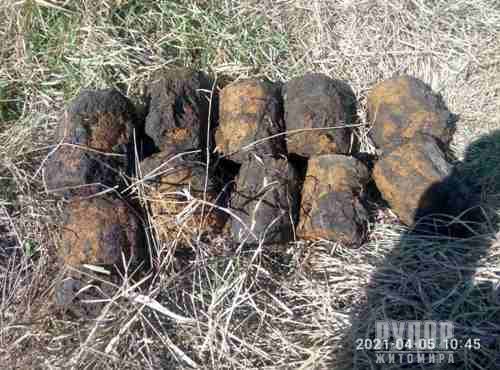 З початку року піротехніками ГУ ДСНС Житомирщини вже знищено 63 одиниці вибухонебезпечних предметів часів минулих війн