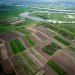 Фахівці землевпорядної служби Житомирщини з початку року зареєстрували понад 15 тис. земельних ділянок в режимі онлайн