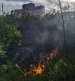 В Житомирській області рятувальники ліквідували загоряння минулорічного сухостою, що виникло упродовж минулої доби 
