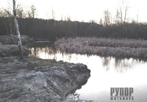 У Житомирі екс-депутат забруднив побутовими відходами землю та вирубав дерева, завдавши довкіллю шкоди на 50,7 млн грн