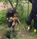 В Житомирській області рятувальники вивільнили собаку з провалля