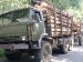 На Житомирщині неподалік кордону затримано вантажівку з необлікованим лісом 