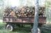 На Звягельщині правоохоронці затримали трактор із викраденою деревиною