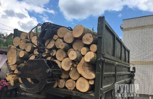 У двох громадах Житомирщини затримали вантажівки з необлікованим лісом