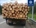 Патрульні виявили транспортний засіб, водій якого перевозив деревину без відповідних документів