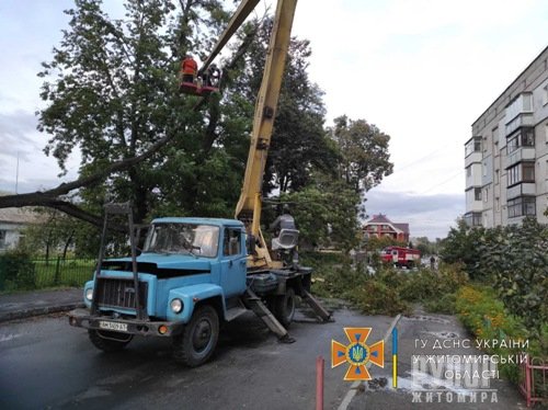 Житомирські рятувальники тричі надавали допомогу у розрізанні дерев, що в впали на проїзджу частину
