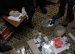 На Житомирщині слідчі поліції завершили розслідування кримінальних діянь наркоугрупування
