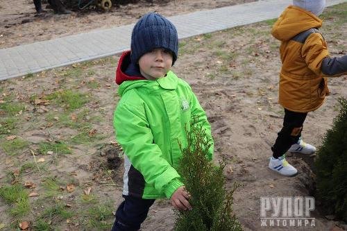 У межах ініціативи Президента на Житомирщині за 1 день висадили 1 мільйон дерев