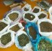 У Бердичеві поліцейські під час обшуку вилучили наркотиків вартістю, за цінами «чорного ринку», близько мільйона гривень