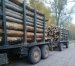 У прикордонні Житомирщини виявили вантажівку, якою перевозили ліс-кругляк без належних документів