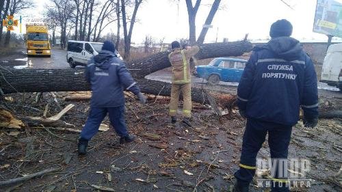 На Житомирщині рятувальники ліквідовують наслідки негоди