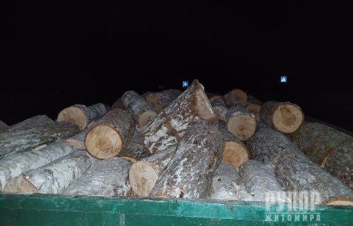 На Житомирщині - черговий факт перевезення нелегального лісу