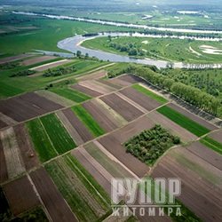 В Житомирській області на радіоактивно забрудених землях вирощували сільськогосподарські культури