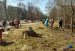 ОСББ міста Житомира активно долучилися до щорічної весняної толоки