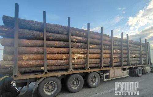 У Житомирському районі поліцейські припинили незаконне перевезення лісопродукції