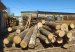 На Житомирщині поліцейські виявили два випадки незаконних оборудок з лісом