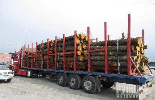 Поліцейські виявили ще один факт незаконного перевезення лісоматеріалів у Новоград-Волинському районі