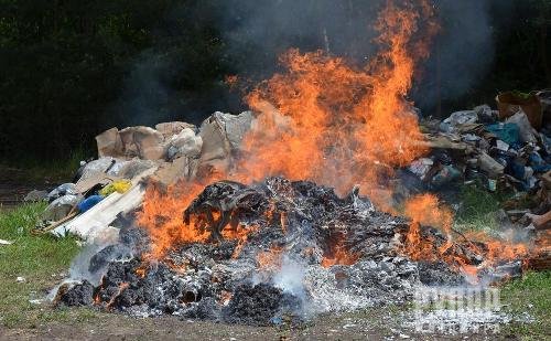 На Житомирщині поліцейські спалили у вогні наркотиків на півтора мільйони гривень