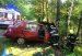Фатальна ДТП на Житомирщині - водій легковика врізався у дерево