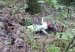 У лісі виявили уламки нерозірваної ракети: На Житомирщині поліцейські задокументували наслідки ворожого обстрілу