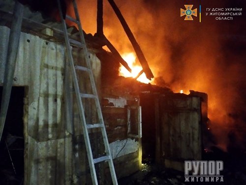 Житомирська область: під час пожеж у приватному домогосподарстві врятовано житлові будинки, господарчу будівлю, конюшню та дрівник