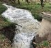 У річці Тетерів екологи виявили значні концентрації забруднюючих речовин