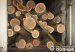 На Звягельщині поліцейські виявили факт незаконного перевезення деревини