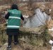Житомирські екологи оприлюднили результати дослідження проб води, відібраних в річці Гнилоп’ять