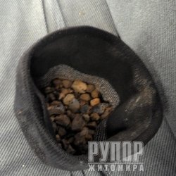�� ����������� �� ���������� ��������� �������� ��������� ��������� г��������