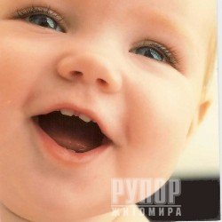 � ������� �'������� ����� ������� �����, ������������ �� 320 ����