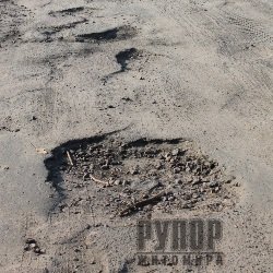 �������� ���-�������� ���� 17 �������� �� ������ �����������