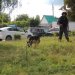 ���������� ��� ���������� ������������� �������� ����������
