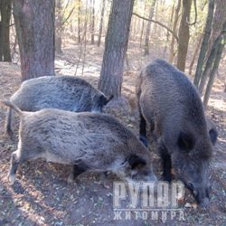 �� ����������� ����� ������� ����� ��������� ��������� ���������