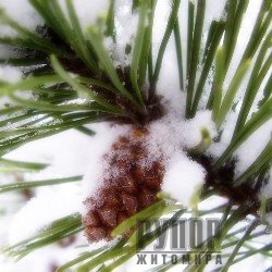 73 ���. ����� �� 140 ���. ������ ������ ���������� ��������� ����� ���� ������� �����������