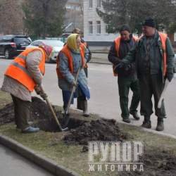 � ������� ��������� ������� ��������� ���������� ����